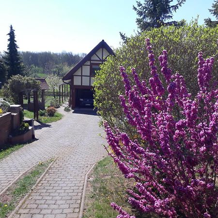 Ferienwohnung Zur Saaleaue Wettin Buitenkant foto