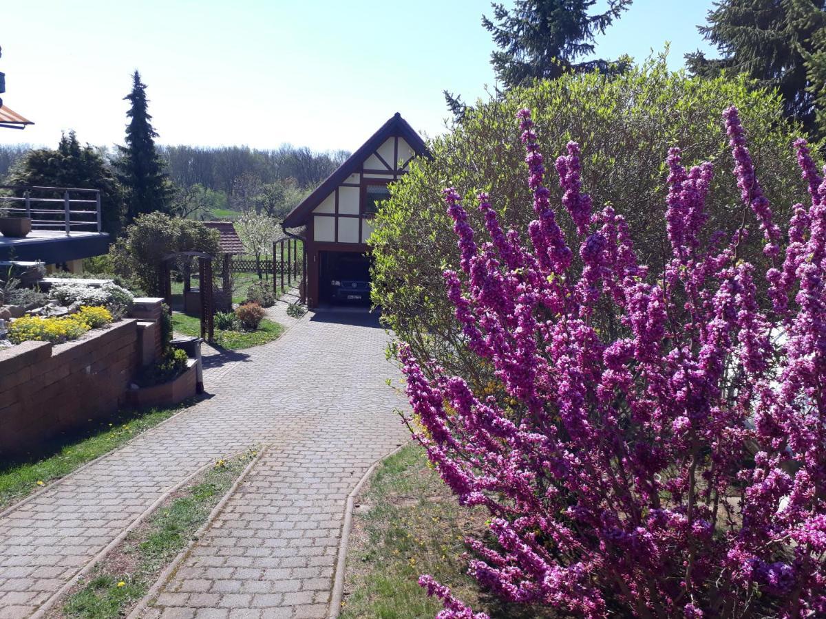 Ferienwohnung Zur Saaleaue Wettin Buitenkant foto