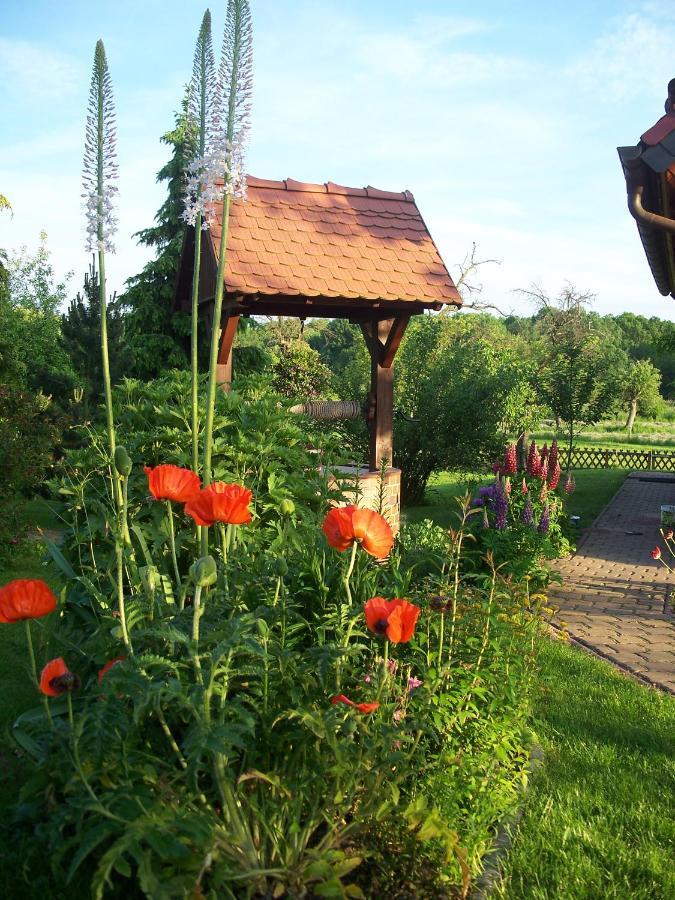 Ferienwohnung Zur Saaleaue Wettin Buitenkant foto