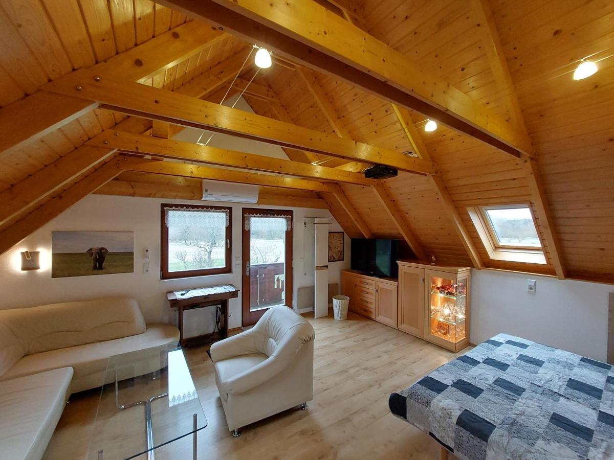 Ferienwohnung Zur Saaleaue Wettin Buitenkant foto
