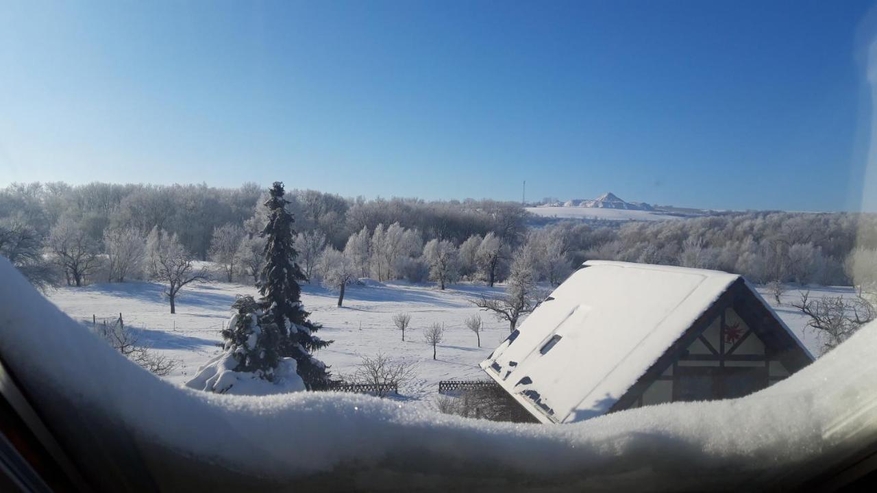 Ferienwohnung Zur Saaleaue Wettin Buitenkant foto
