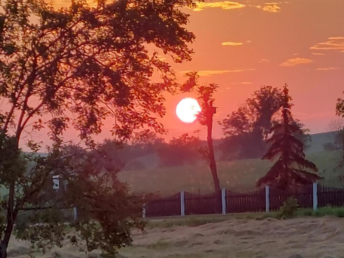 Ferienwohnung Zur Saaleaue Wettin Buitenkant foto